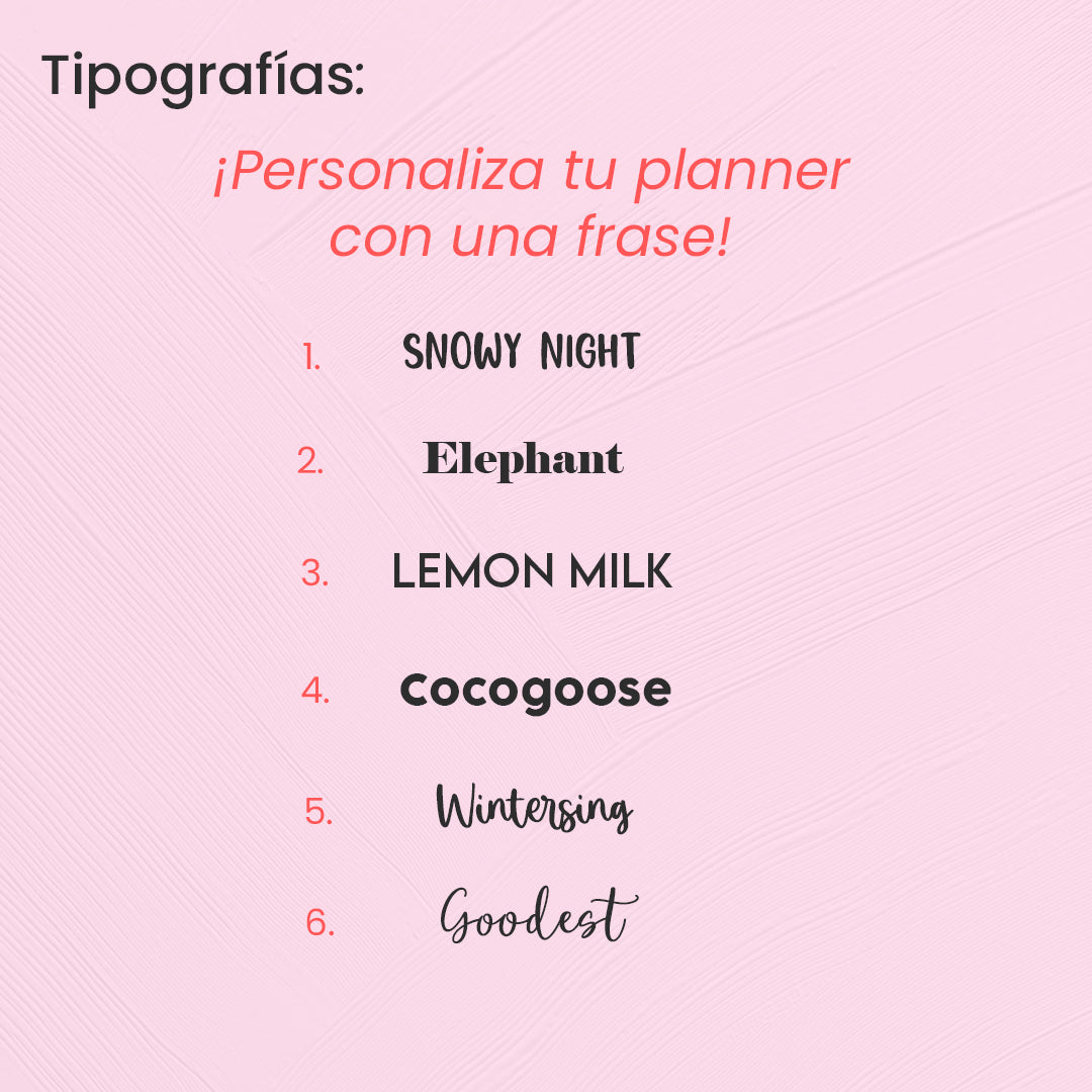 PLANNER DE MURO